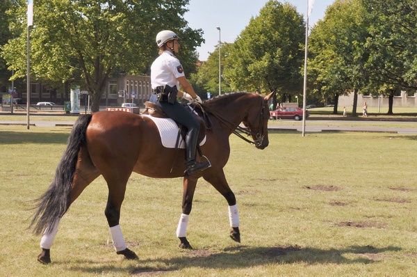 Polizeidirektion   144.jpg